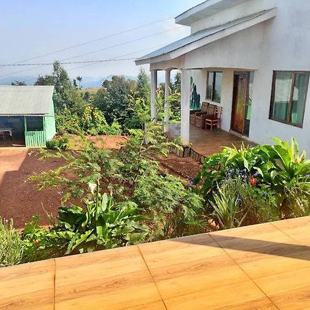 Ruhija Gorilla Guest House Kabale Екстер'єр фото